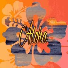 Aloha Hawaii GIF - Aloha Hawaii - Discover & Share GIFs | Aloha hawaii, Hawaiian sunset, Hawaii