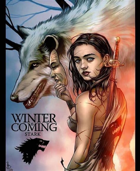 Pin on Game of thrones | Arya stark art, Game of thrones artwork, Game of thrones arya