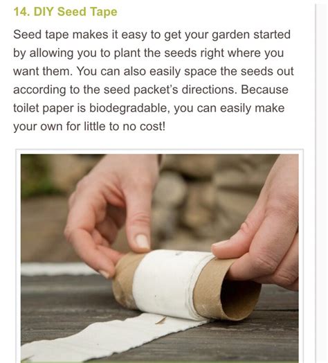 20 Insanely Awesome And Clever Gardening Tips. 🌷🌻🍒🍐🍍🍆🍅 - Musely