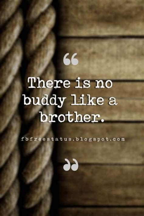 Brother Funny Quotes Sayings - ShortQuotes.cc