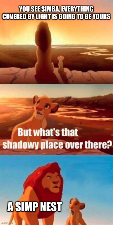 Simba Shadowy Place Meme - Imgflip