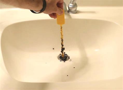 Fruit Flies In Bathroom Sink – Semis Online