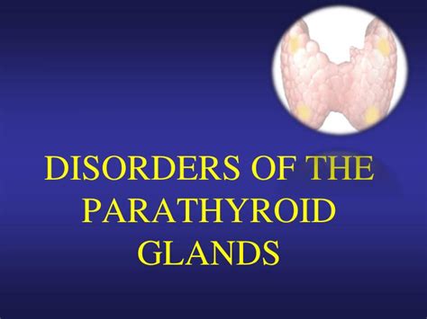 PPT - DISORDERS OF THE PARATHYROID GLANDS PowerPoint Presentation, free download - ID:2174255