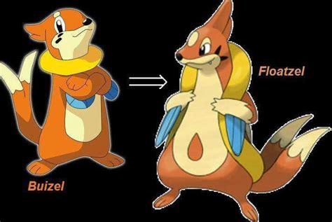 Buizel Evolution | Pokemon, Fotos de pokemon, Foto