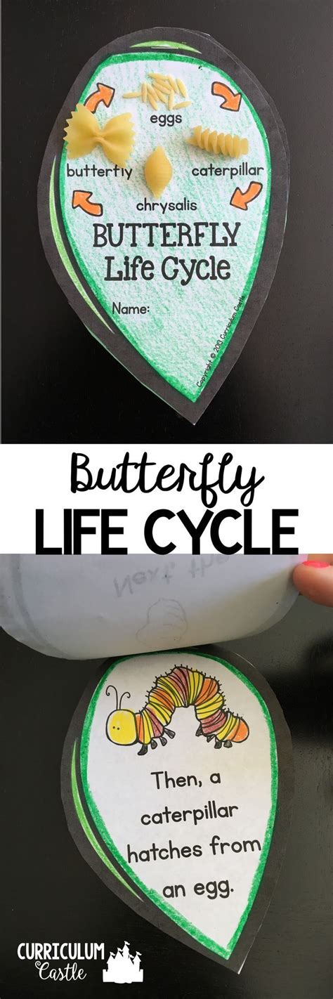 Butterfly Life Cycle Mini Leaf Book! Makes an adorable butterfly craft ...