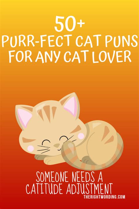 50+ Hiss-terically Purr-fect Cat Puns For Any Cat Lover