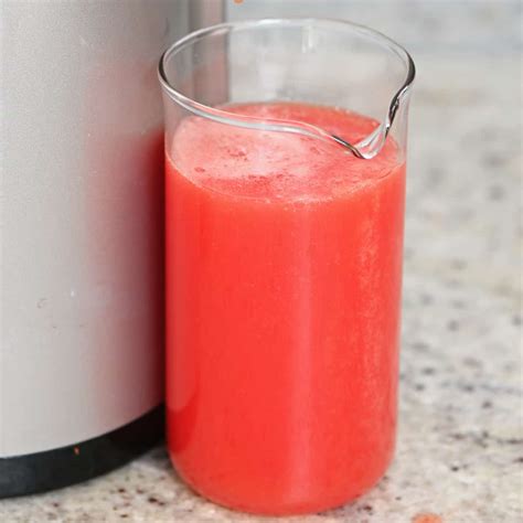 How to Make Tomato Juice (3 Methods) - Alphafoodie