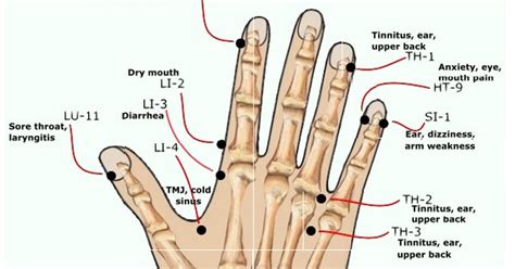 Acupressure Points of the Hand CAUTION: DO NOT use LI-4 if you are ...