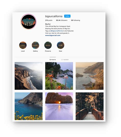 5 Instagram Profile Template Ideas to Match Your Unique Brand