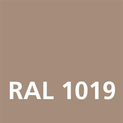 DUPLI-COLOR Acryllack glänzend RAL 1019 / Graubei