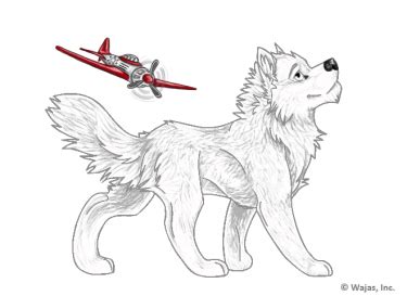 Toy Plane - The Wajas Wiki