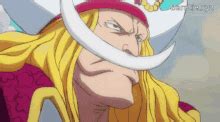 Young Whitebeard One Piece GIF - Young Whitebeard One Piece Whitebeard - Discover & Share GIFs