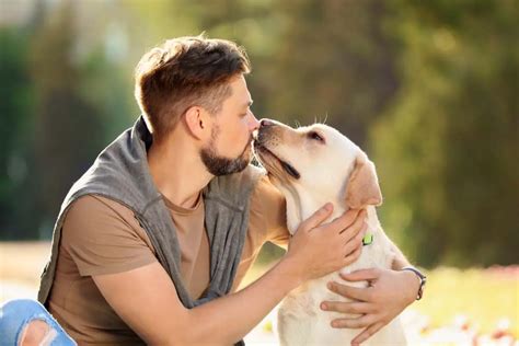 Video of Dog Being Reunited With Owner At The Airport Will Hit You In The Feels