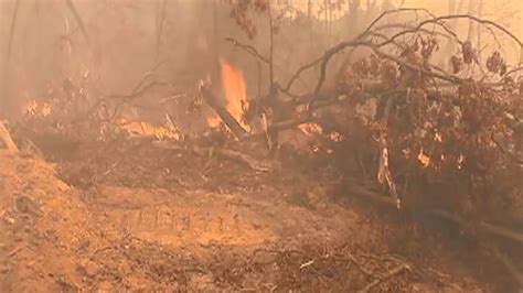 Evacuations ordered as North Carolina wildfires continue to rage, arson ...