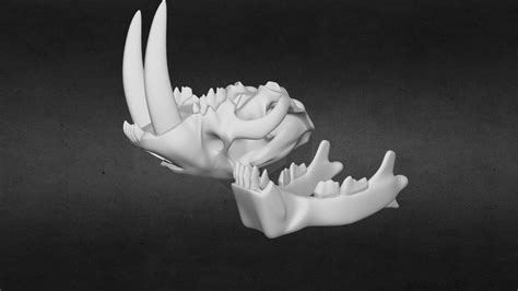 SaberTooth Tiger Skull [For 3D Print] - Buy Royalty Free 3D model by Danelle_Prescott [7b3c0b8 ...