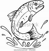 Rainbow Trout Coloring Page At GetColoringscom  Free Printable sketch template