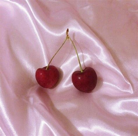 Petra Collins pastel pink silk cherries - artist Red Aesthetic, Vintage Aesthetic, Aesthetic ...