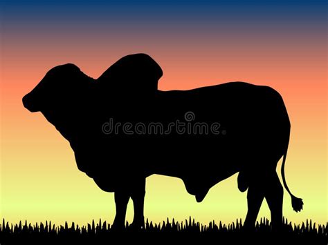 Bull Stock Illustrations – 130,720 Bull Stock Illustrations, Vectors & Clipart - Dreamstime