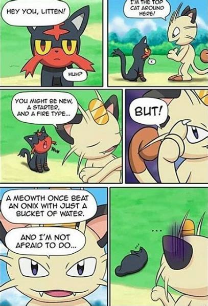 Meowth vs litten | Pokemon meowth, Pokemon, Cat top