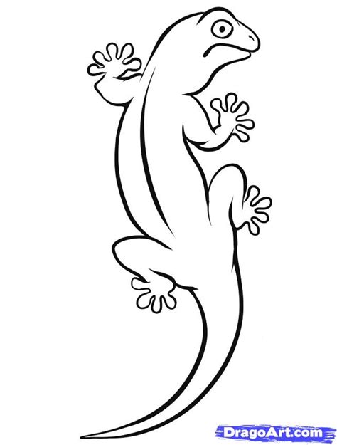 Lizard Outline Drawing at PaintingValley.com | Explore collection of Lizard Outline Drawing