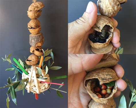 Parrot foraging toy made with wood, walnuts, wood sticks and filled with berries and raw pasta ...