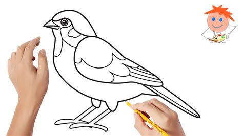 How to draw a sparrow | Easy drawings - YouTube