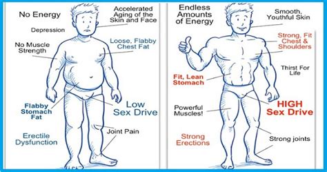 How Can I Increase My Testosterone Levels for More Muscle Growth? | Project NEXT