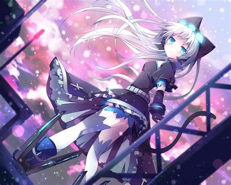 Anime Neko Girl Wallpapers - Top Free Anime Neko Girl Backgrounds ...