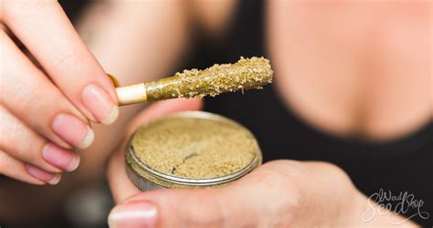 What to Do With Kief: 7 Top Uses - WeedSeedShop