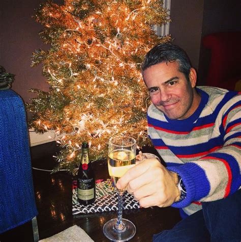 Andy Cohen from Stars Celebrate Christmas 2014 | E! News