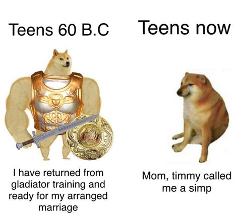 30 Of The Most Savage Yet Somewhat Accurate ‘Then Vs. Now’ Doge Memes | Bored Panda