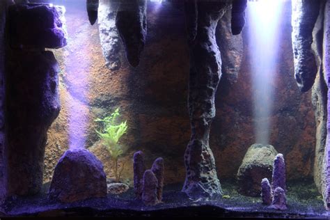 Cave Tank Build Tutorial | REEF2REEF Saltwater and Reef Aquarium Forum