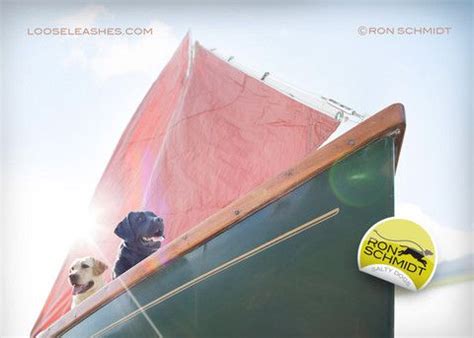 SALTY DOGS Sailboat Canvas Art Print - Labrador Nautical Wall Art | Salty dogs, Labrador ...