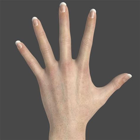 realistic female hand 3d max