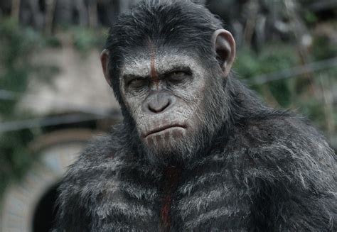 Caesar (Planet of the Apes) | Heroes Wiki | FANDOM powered by Wikia