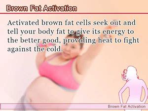 2 Ways Burn More Fat: Brown Fat Cell Activation For Everyone | Slism