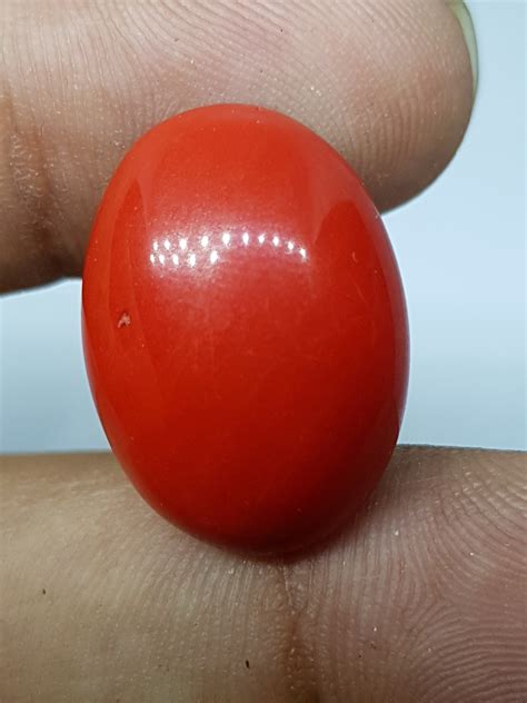 Red Coral Gemstone / Oval Cabochon Stone / Loose Gemstone / | Etsy