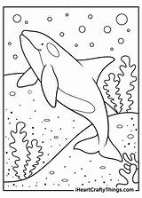 15 Killer Whale Coloring Pages 100% Free Printables sketch template