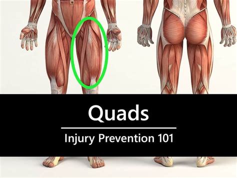 Injury Prevention 101: The Quads Exercises | Injury prevention, Sports injury, Quad exercises