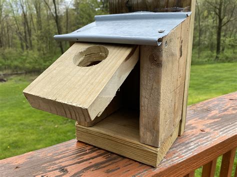 Barn Swallow Nest Box Design | informacionpublica.svet.gob.gt