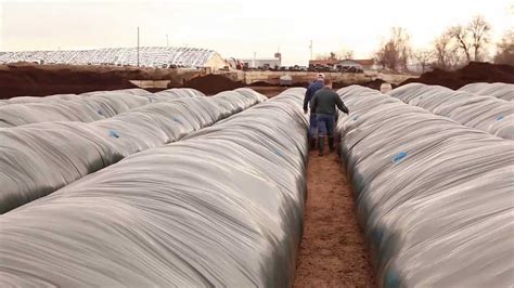 Composting: Anaerobic digester - YouTube