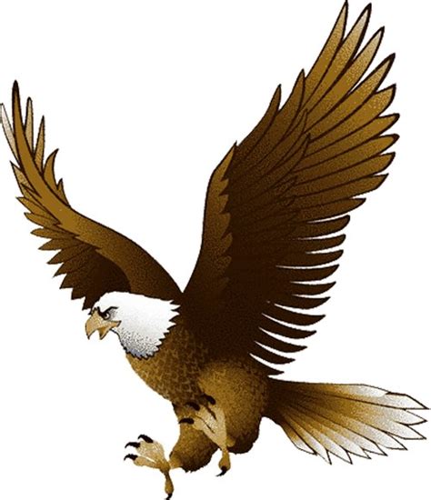 Free Eagle Cliparts, Download Free Eagle Cliparts png images, Free ...