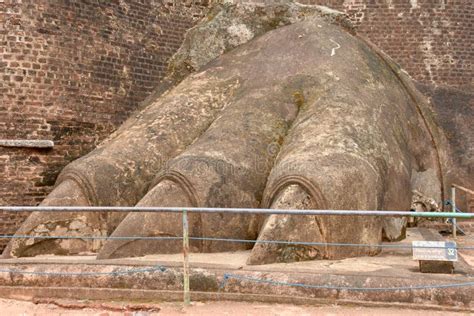 Patte De Lion Chez Sigiriya Photo stock - Image du détail, lion: 103044632