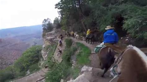 Grand Canyon Mule Ride to Phantom Ranch 5-6-15 - YouTube