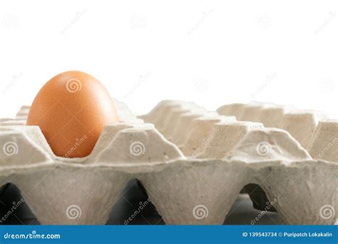 An egg in the egg tray stock photo. Image of eggs, tray - 139543734