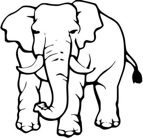 Elephant Images Black And White - Cliparts.co