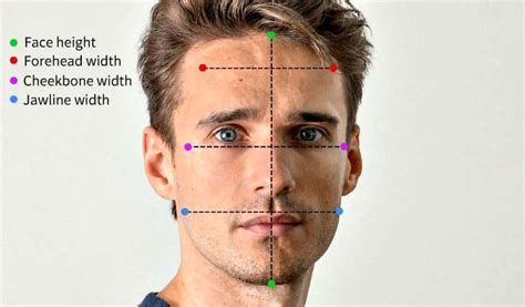 The Oblong Face Shape: Best & Worst Beard Styles (Guide) Eyebrows For Oval Face, Short Boxed ...