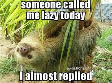 40 Best Sloth Meme - Meme Central