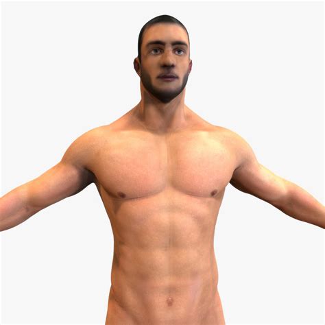 3d model male modeled anatomy