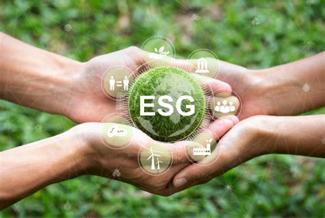 ESG Sustainability Whitepaper - Board Benchmarking